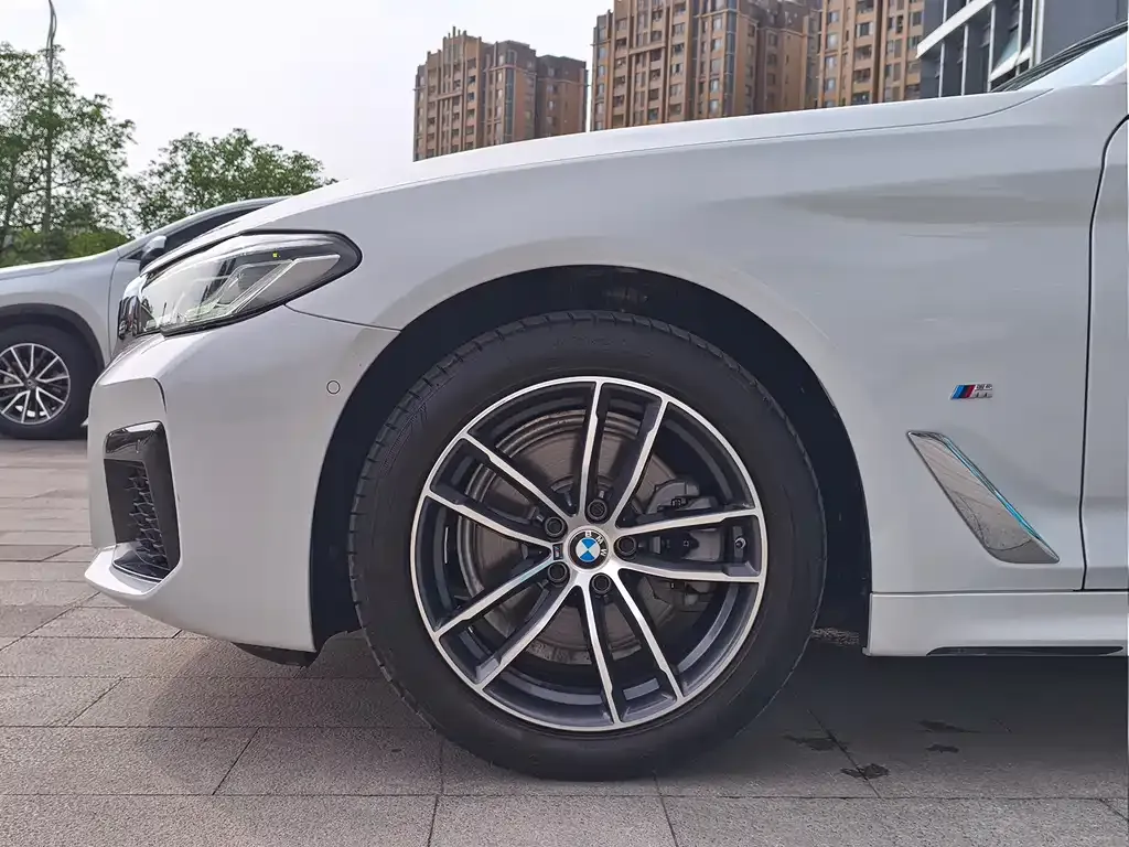 BMW 5 Series 2021 из CN, фото 4