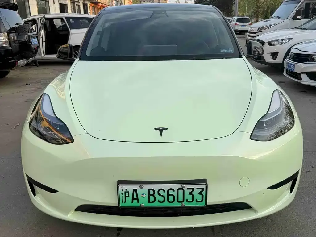 Tesla Model Y — фото 1