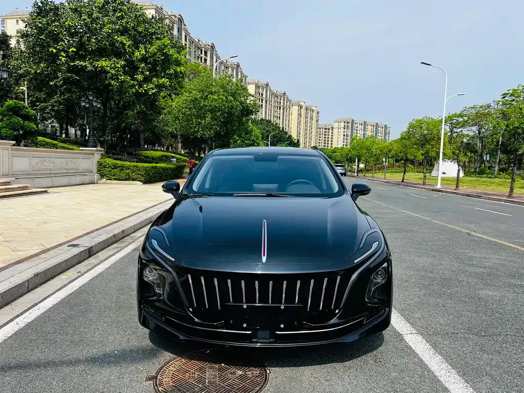 Hongqi E-QM5 2023 из CN, фото 8
