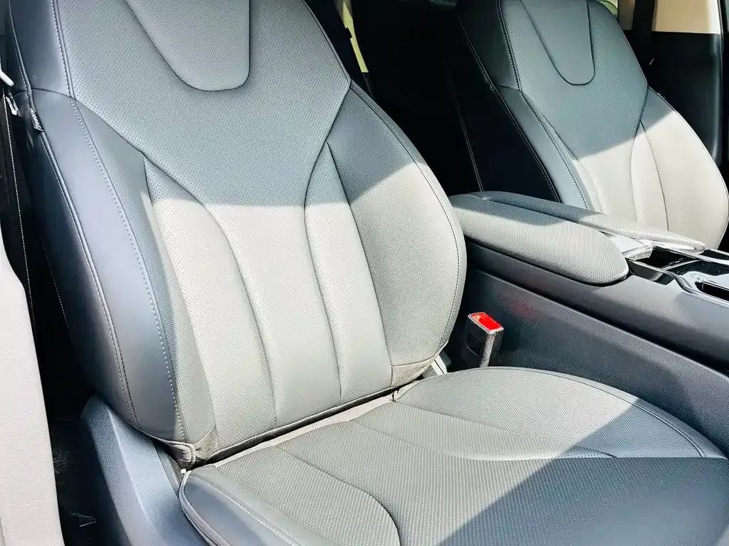 Hongqi E-QM5 2023 из CN, фото 6