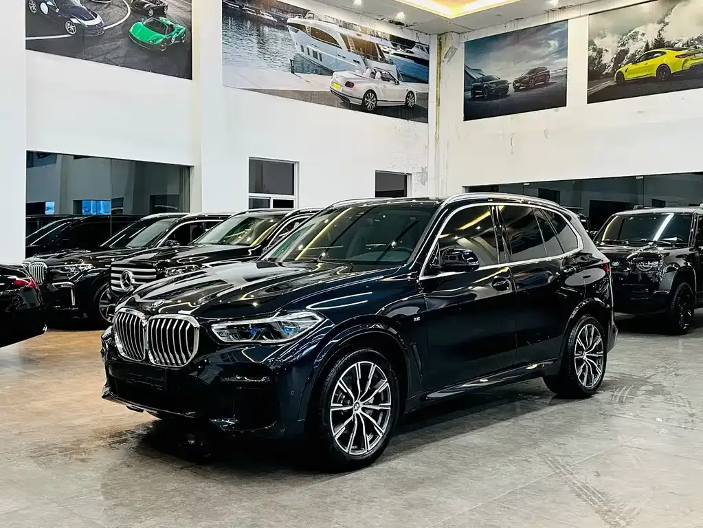 BMW X5 (Import) — фото 1