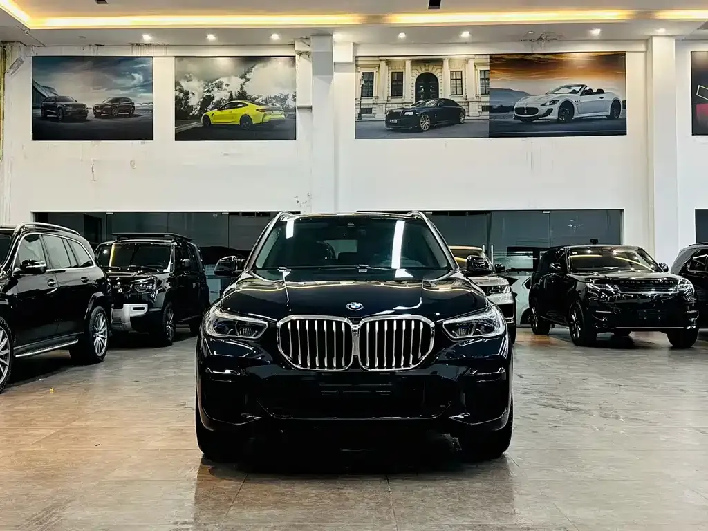 BMW X5 (Import) — фото 2