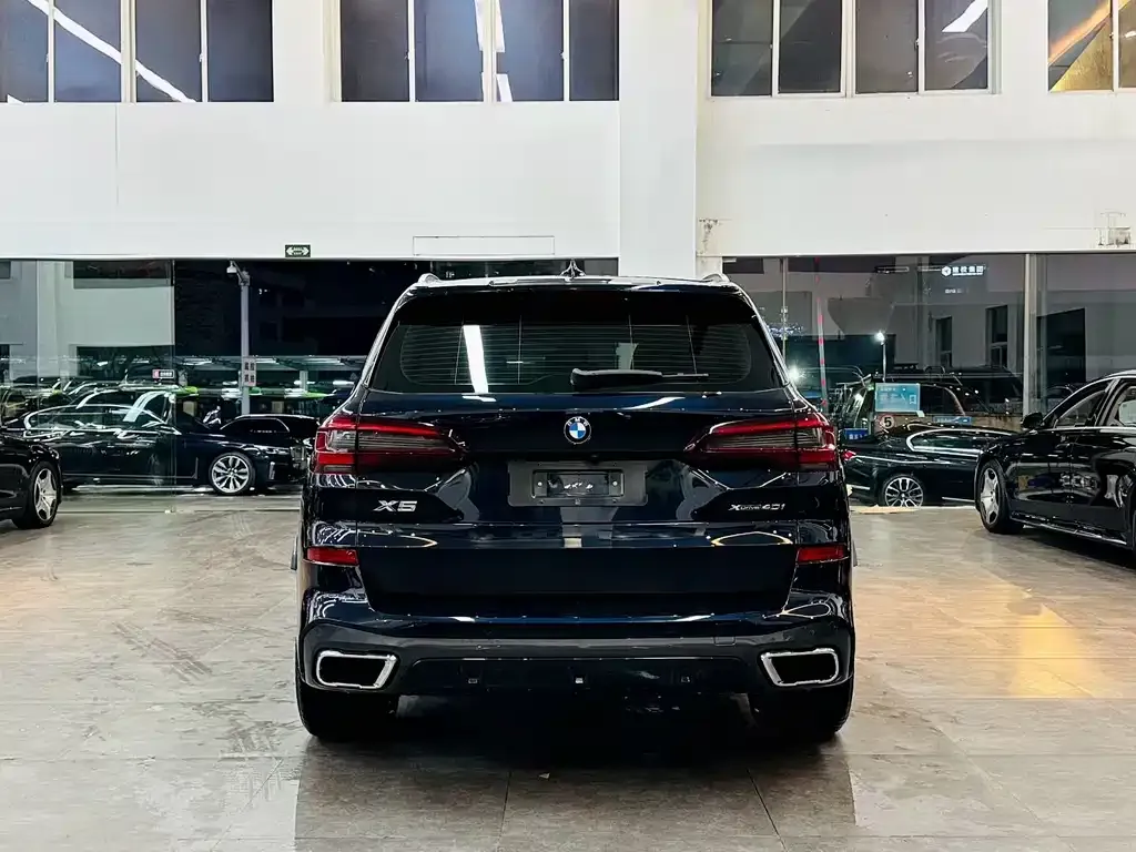 BMW X5 (Import) — фото 5