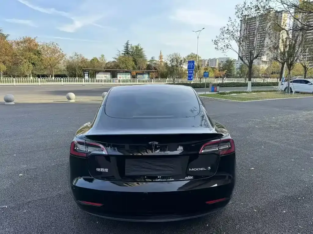 Tesla Model 3 2023 из CN, фото 7