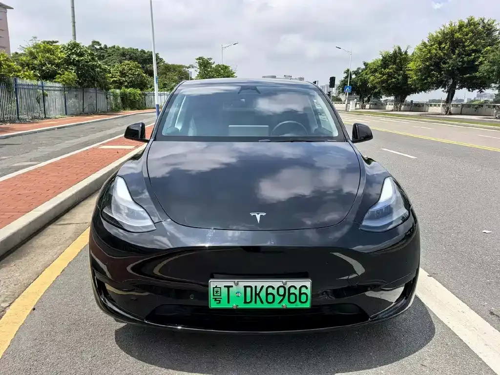 Tesla Model Y — фото 4