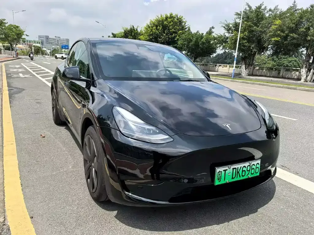Tesla Model Y — фото 5