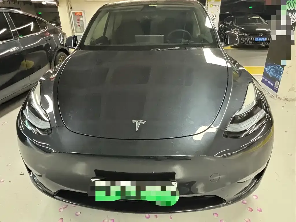 Tesla Model Y — фото 9