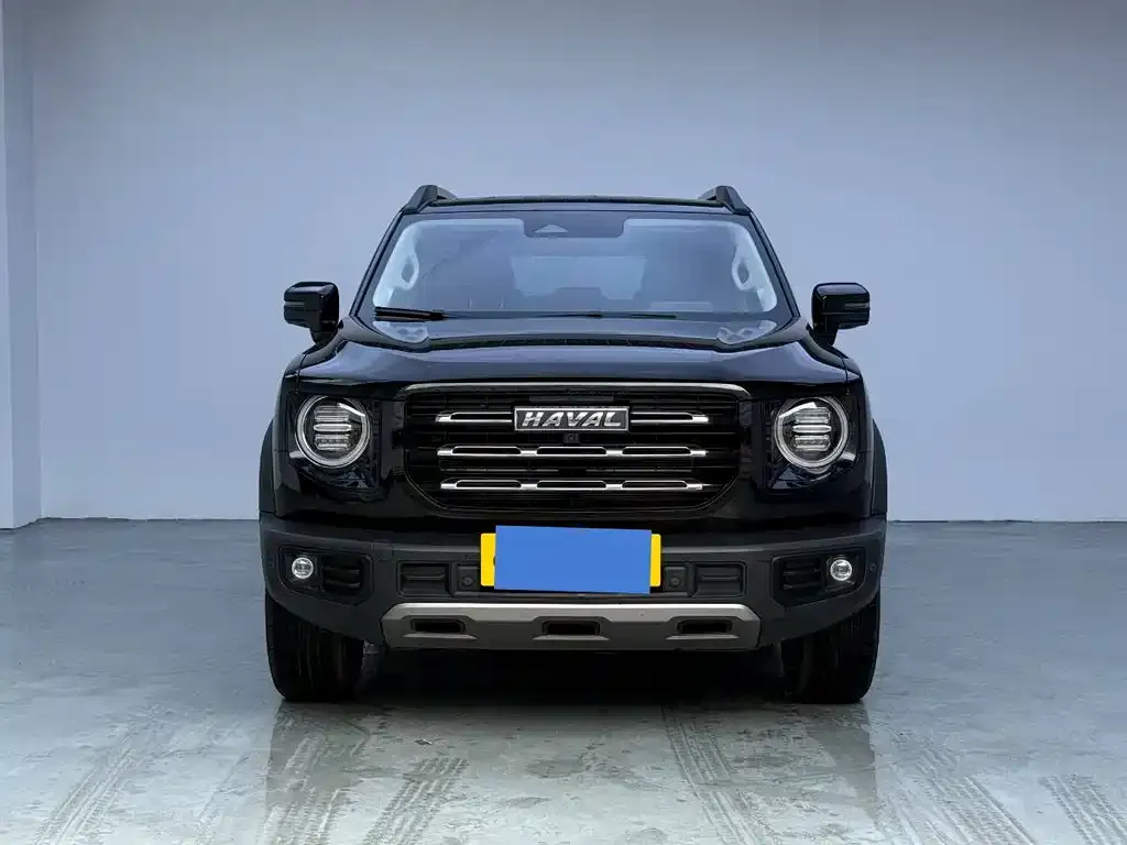 Haval Big Dog 2023 из CN, фото 10