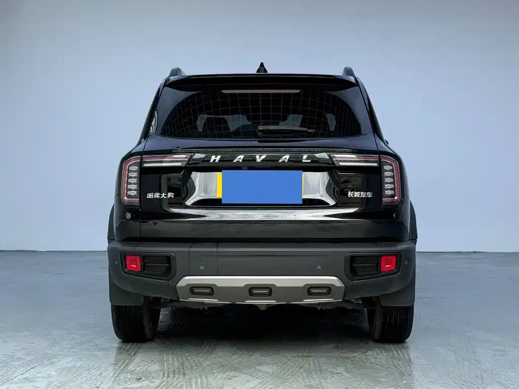 Haval Big Dog 2023 из CN, фото 3