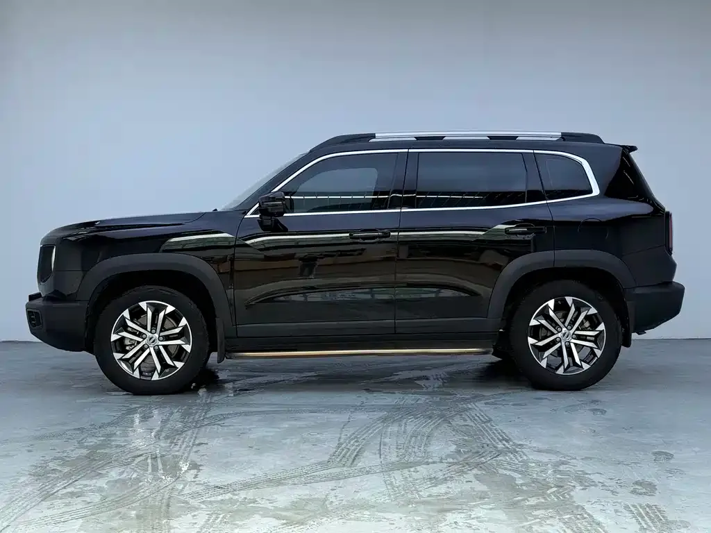 Haval Big Dog 2023 из CN, фото 8