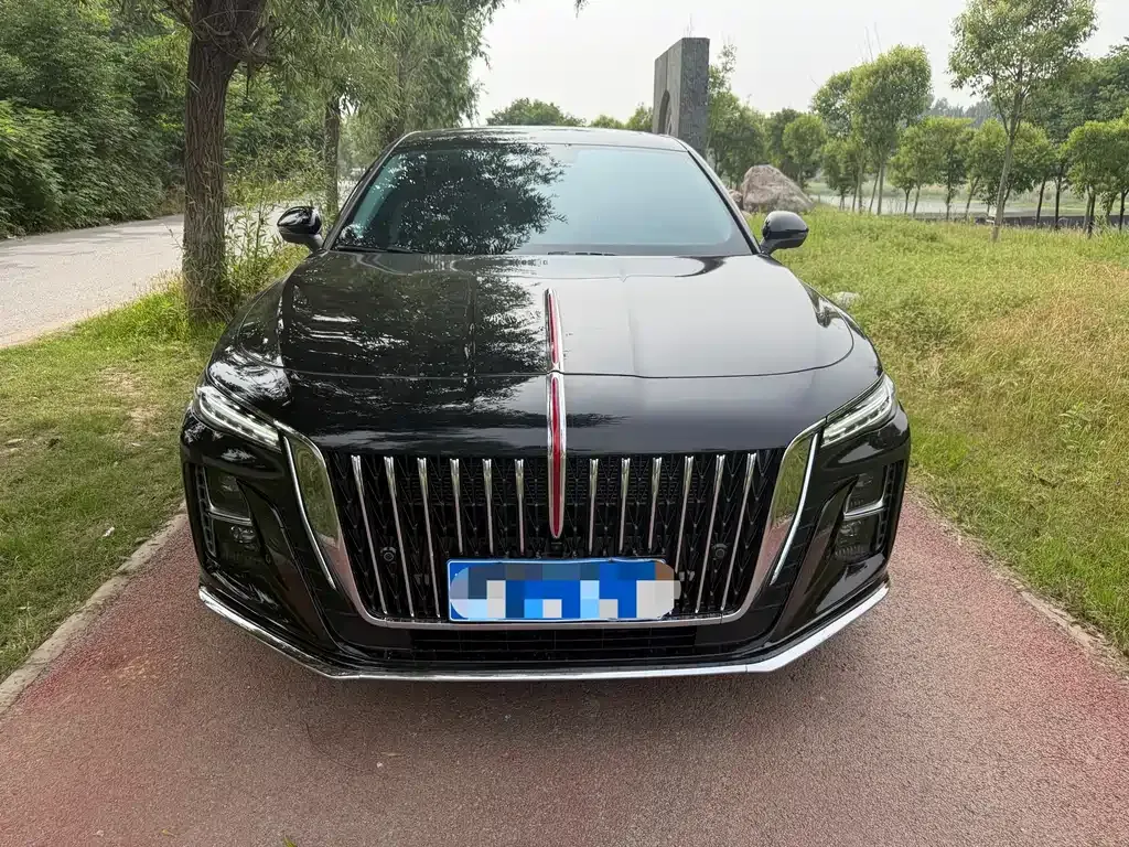 Hongqi H5 2024 из CN, фото 6