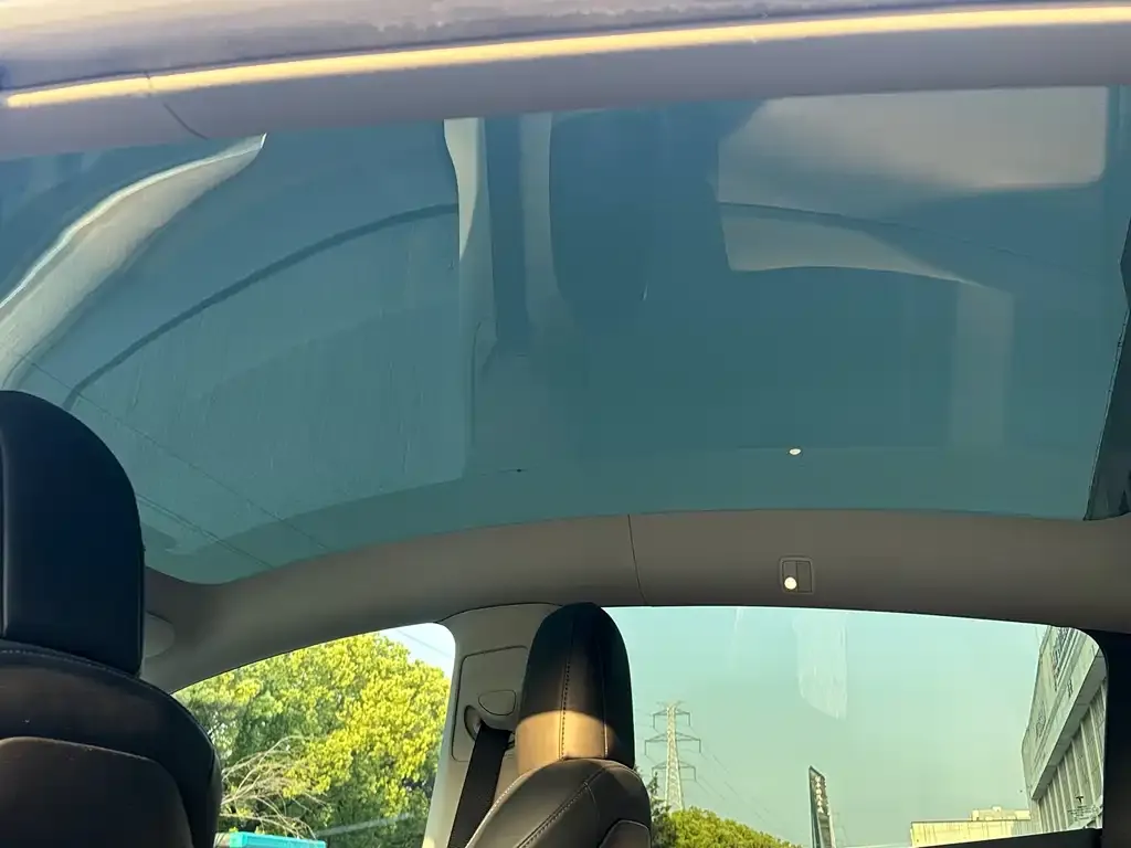 Tesla Model Y 2021 из CN, фото 2