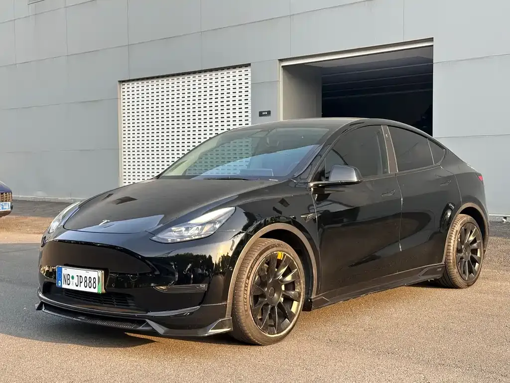 Tesla Model Y 2021 из CN, фото 6