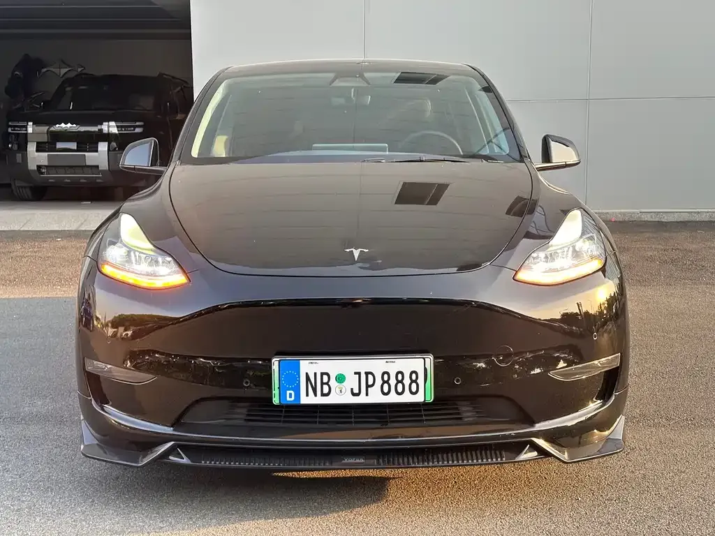 Tesla Model Y 2021 из CN, фото 3
