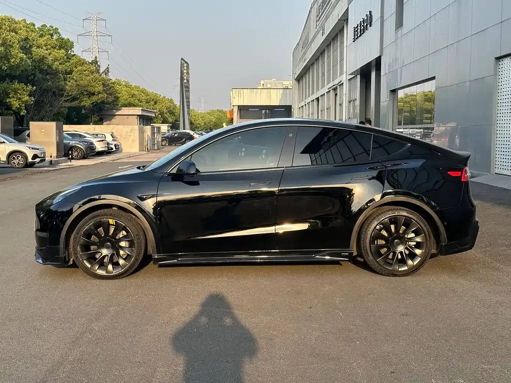 Tesla Model Y 2021 из CN, фото 5
