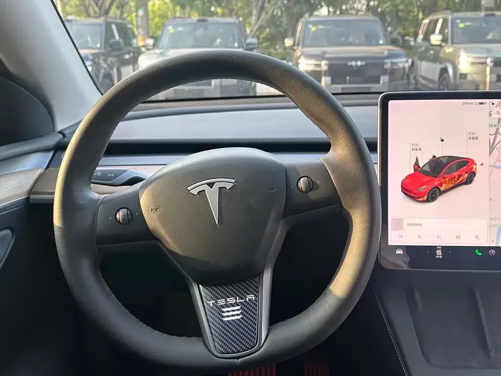 Tesla Model Y 2021 из CN, фото 9