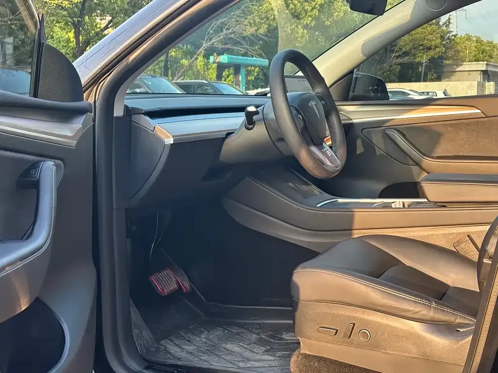 Tesla Model Y 2021 из CN, фото 7