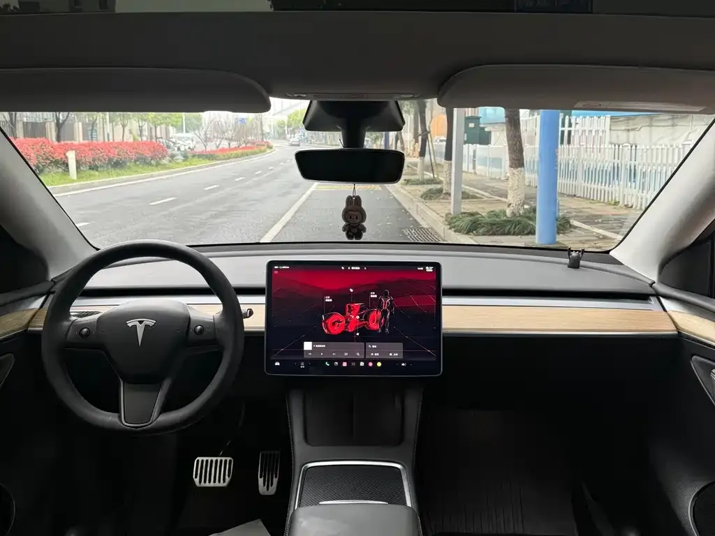 Tesla Model Y — фото 8