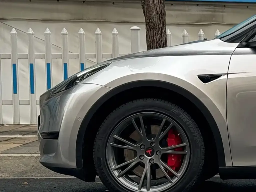 Tesla Model Y — фото 10