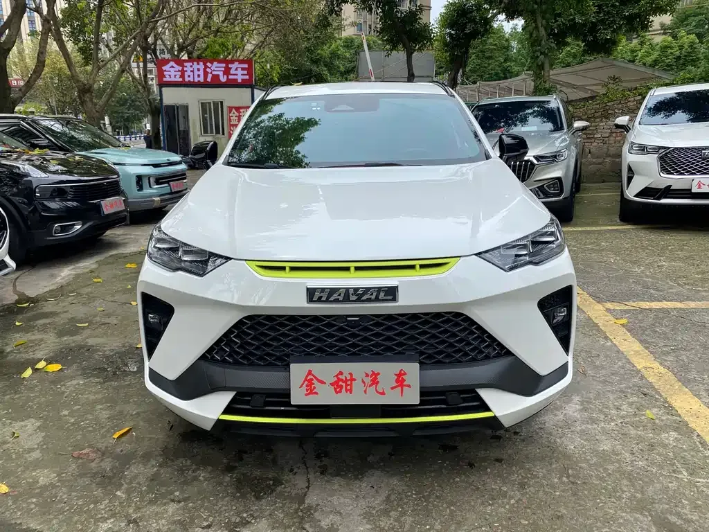 Haval H6S 2022 из CN, фото 4