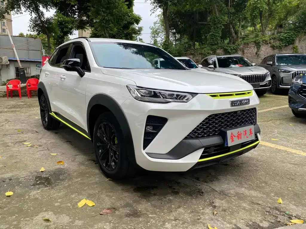 Haval H6S 2022 из CN, фото 5