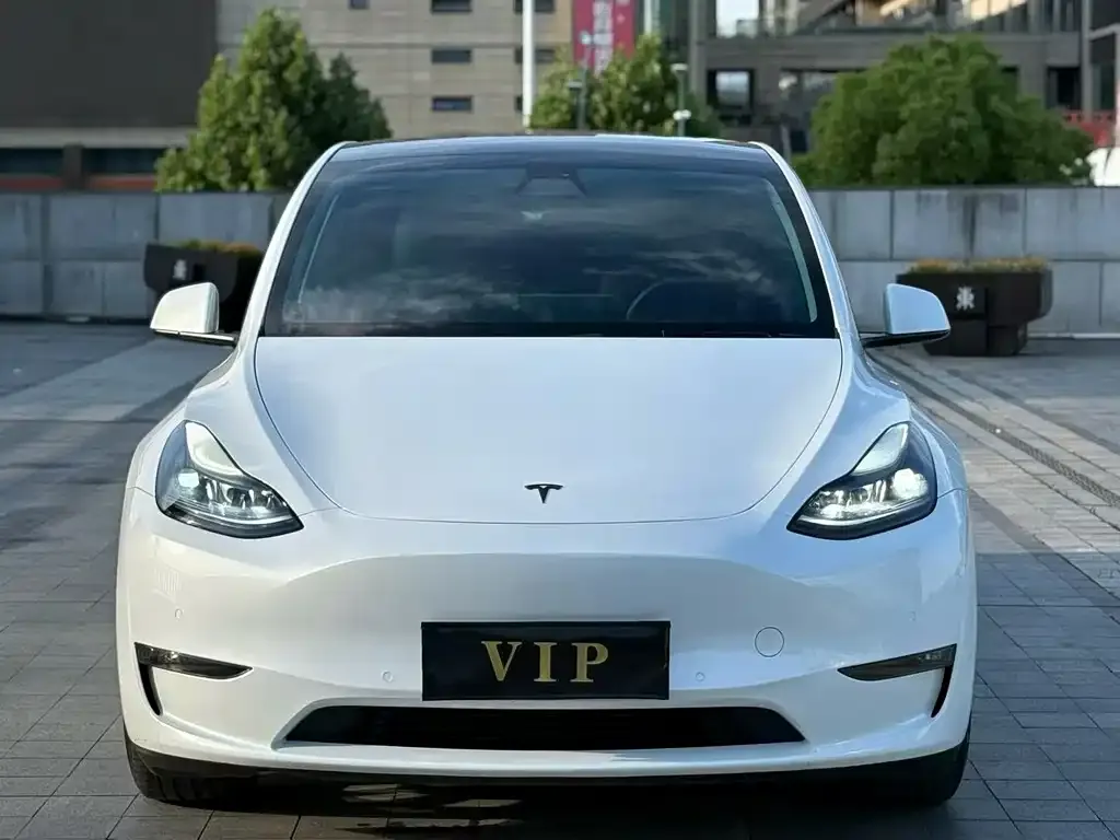 Tesla Model Y — фото 2