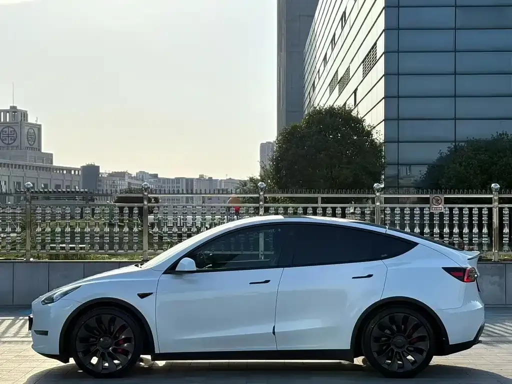 Tesla Model Y — фото 4