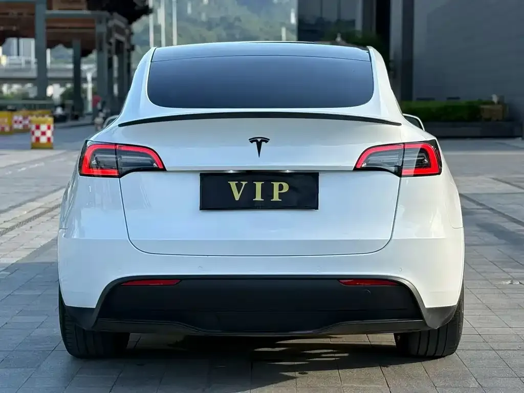 Tesla Model Y — фото 5