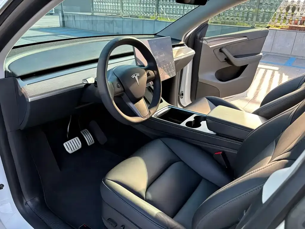 Tesla Model Y — фото 9