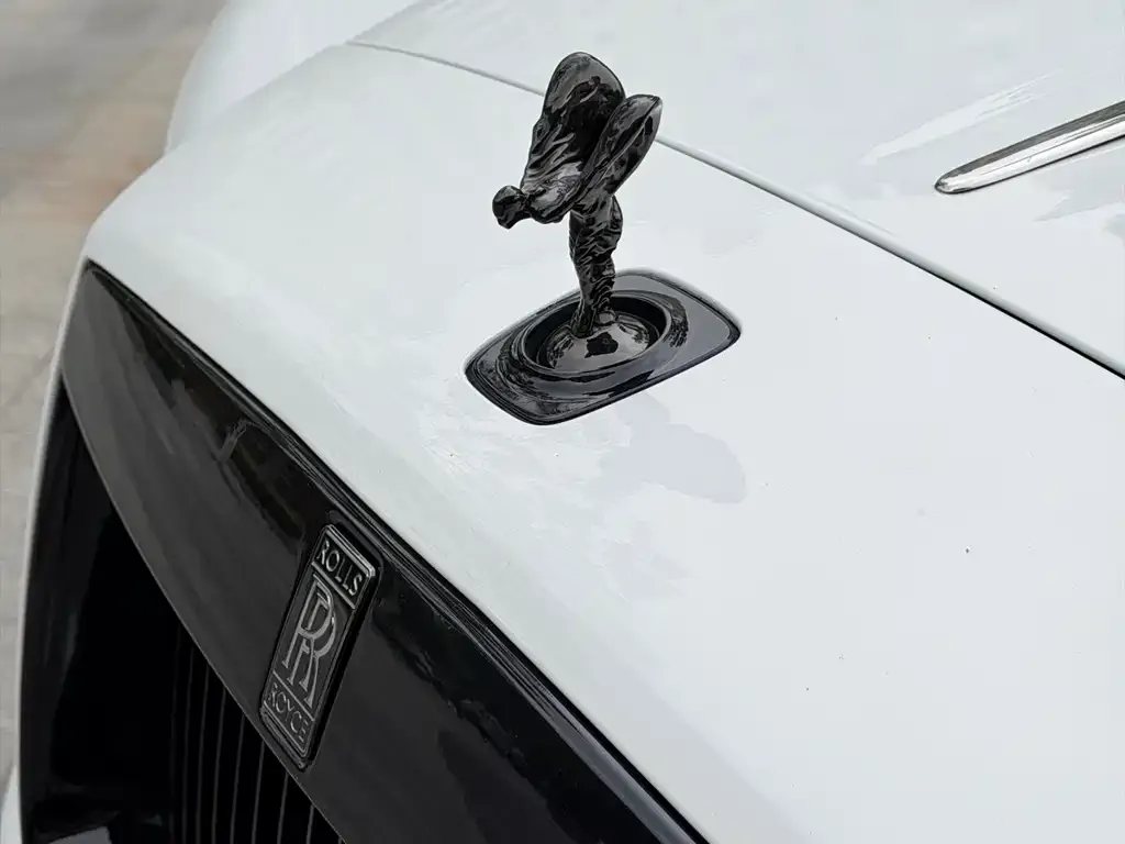 Rolls-Royce Wraith 2021 из CN, фото 2