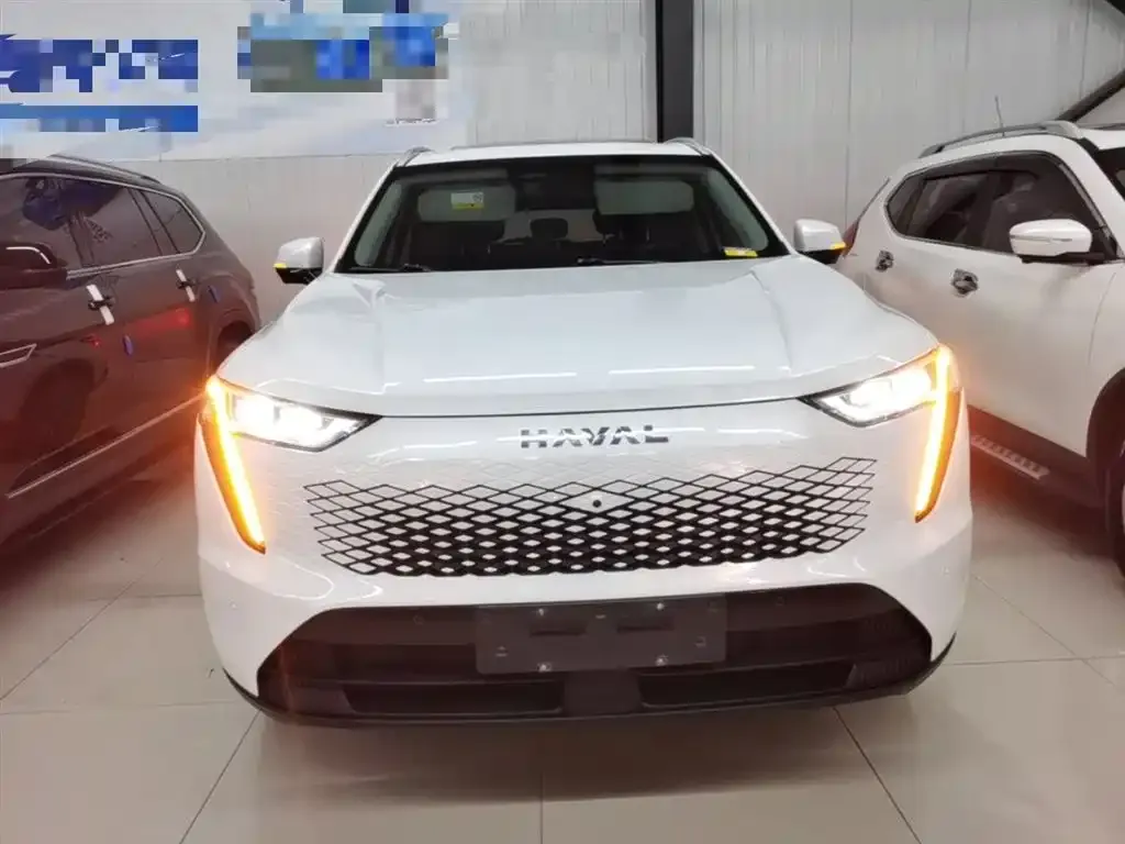 Haval Xiaolong MAX 2024 из CN, фото 4