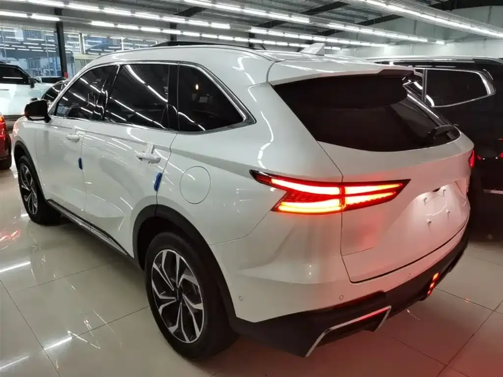 Haval Xiaolong MAX 2024 из CN, фото 10