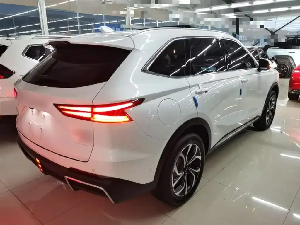 Haval Xiaolong MAX 2024 из CN, фото 8