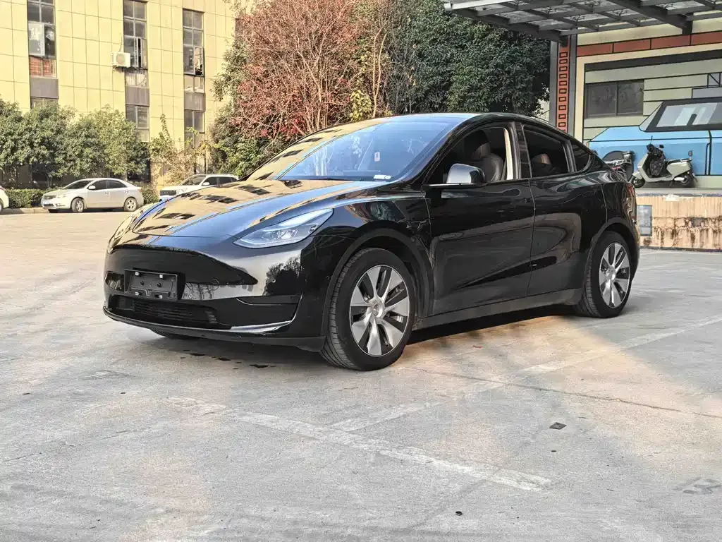 Tesla Model Y 2022 из CN, фото 1