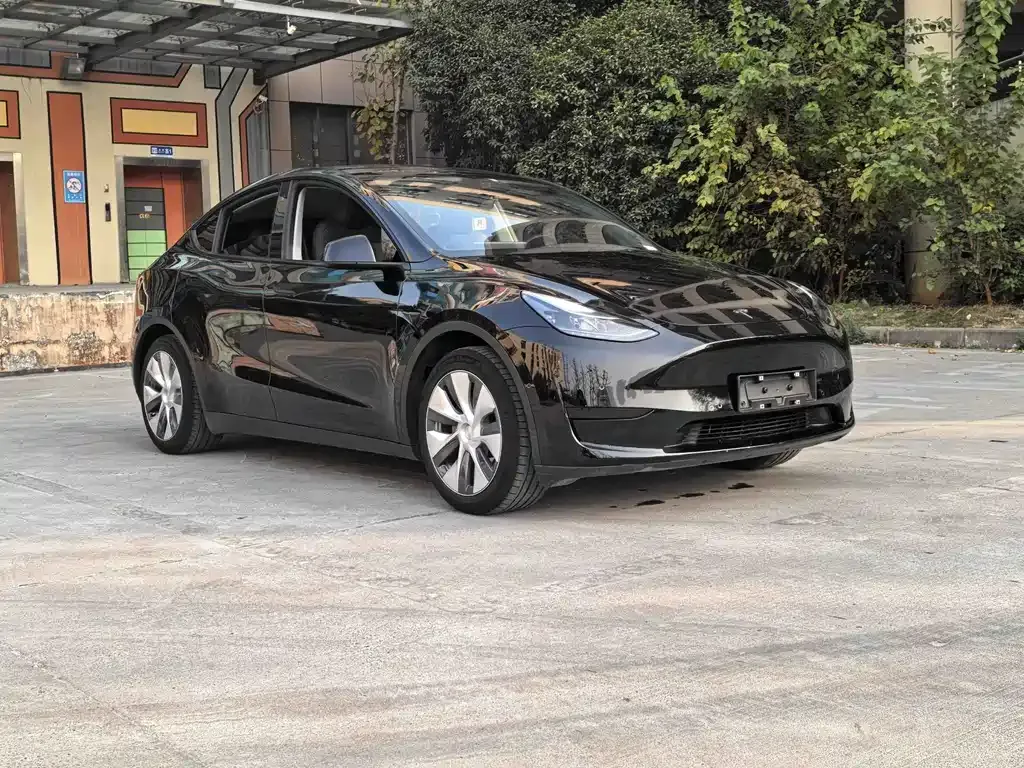 Tesla Model Y 2022 из CN, фото 9