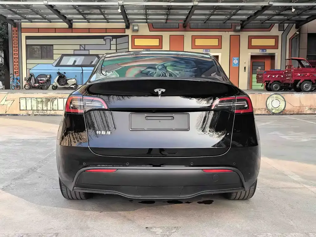 Tesla Model Y 2022 из CN, фото 5