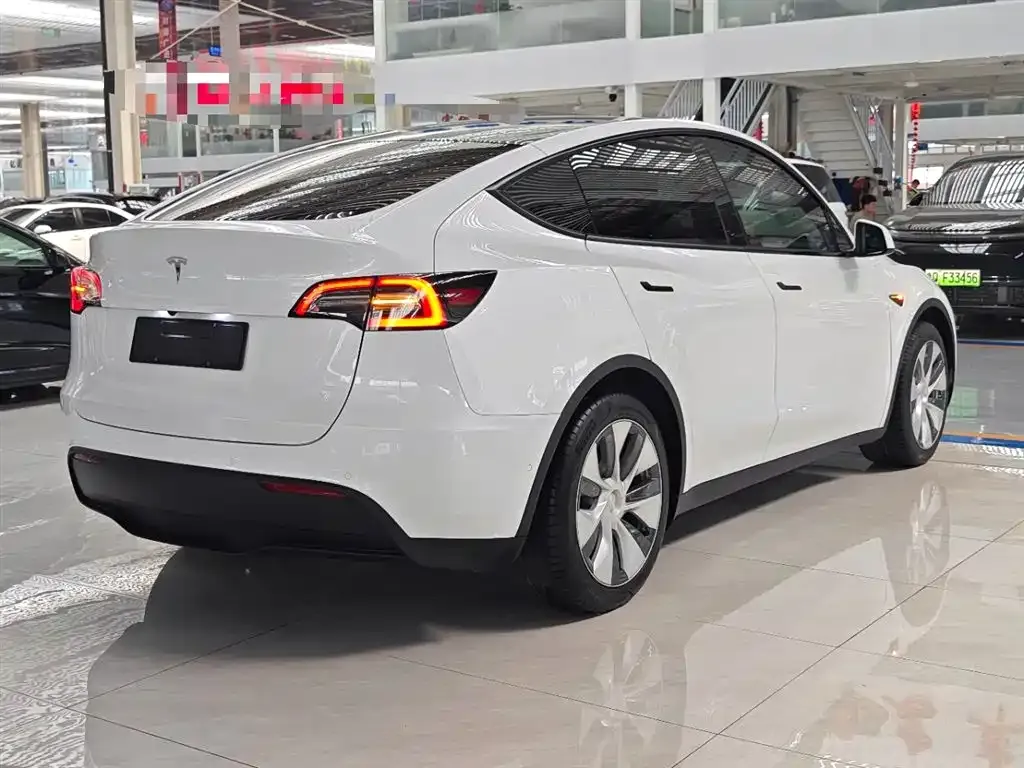 Tesla Model Y — фото 8