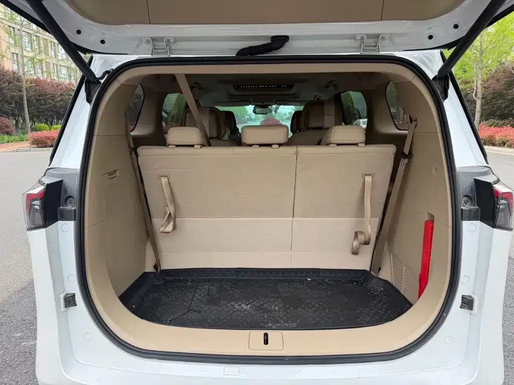Buick GL8 Hybrid 2025 из CN, фото 4
