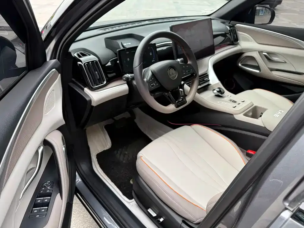 BYD Pro New Energy 2024 из CN, фото 5