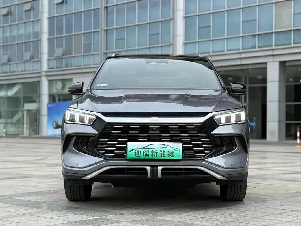 BYD Pro New Energy 2024 из CN, фото 10