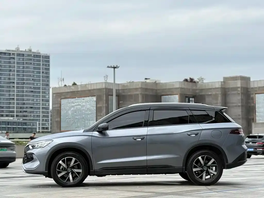 BYD Pro New Energy 2024 из CN, фото 6