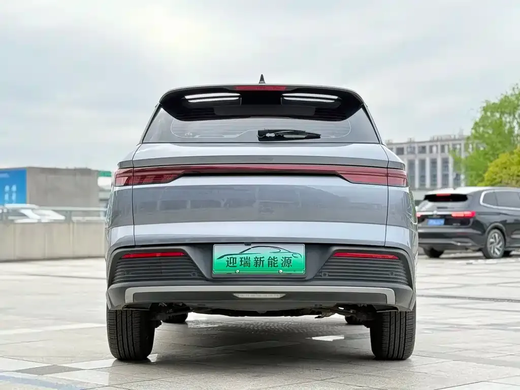 BYD Pro New Energy 2024 из CN, фото 4