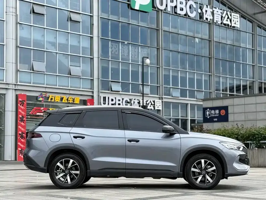 BYD Pro New Energy 2024 из CN, фото 3
