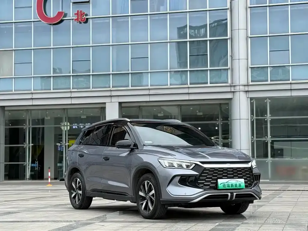 BYD Pro New Energy 2024 из CN, фото 9