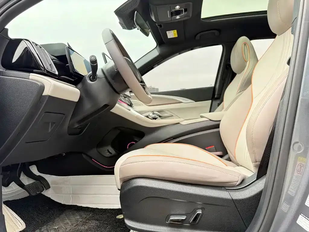 BYD Pro New Energy 2024 из CN, фото 2