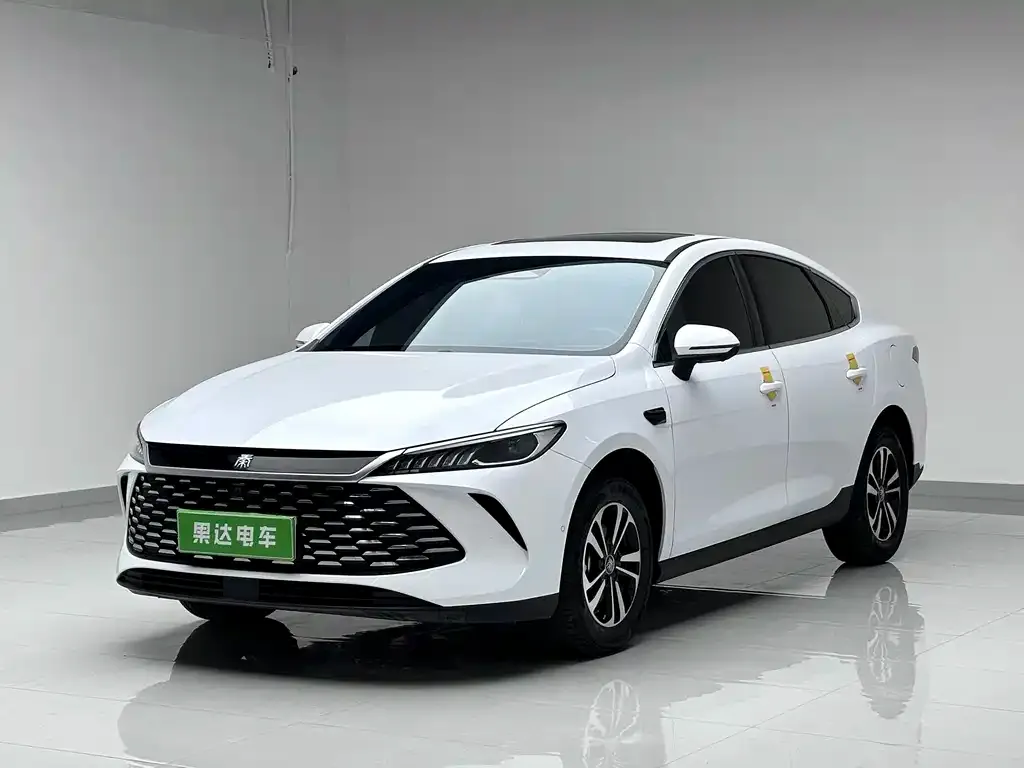 BYD Qin PLUS — фото 1