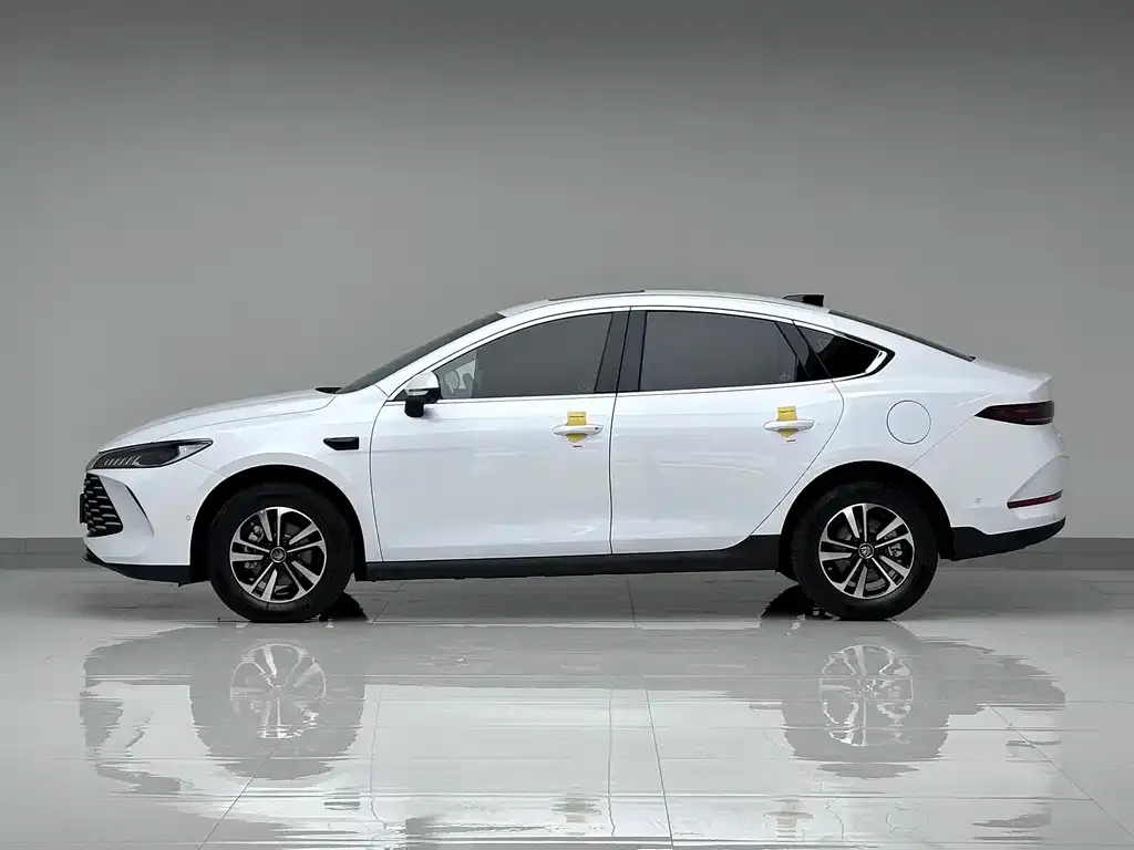 BYD Qin PLUS — фото 3