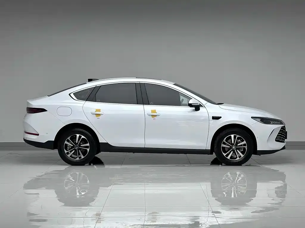 BYD Qin PLUS — фото 2