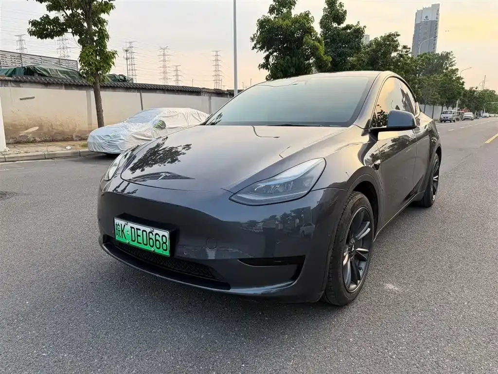 Tesla Model Y — фото 1