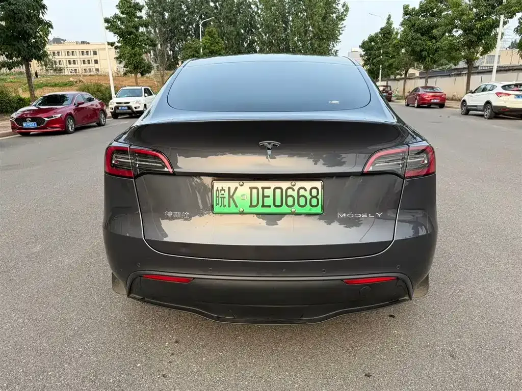 Tesla Model Y — фото 9